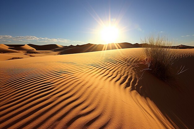 Foto dune di sabbia calde del deserto sotto un sole penetrante