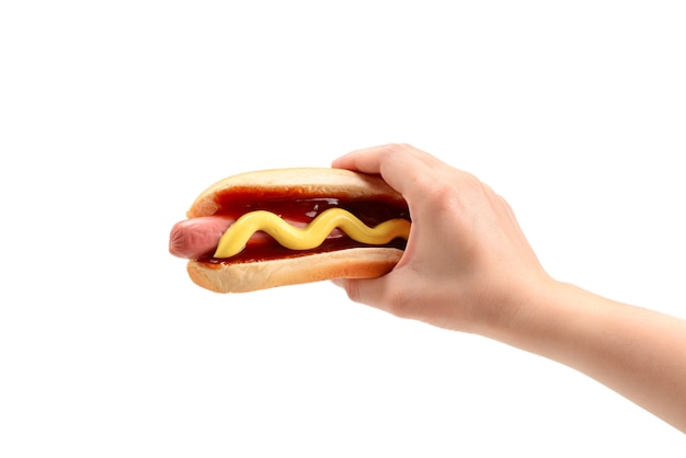 Hot dog in woman hand isolated on white background. Copy space.