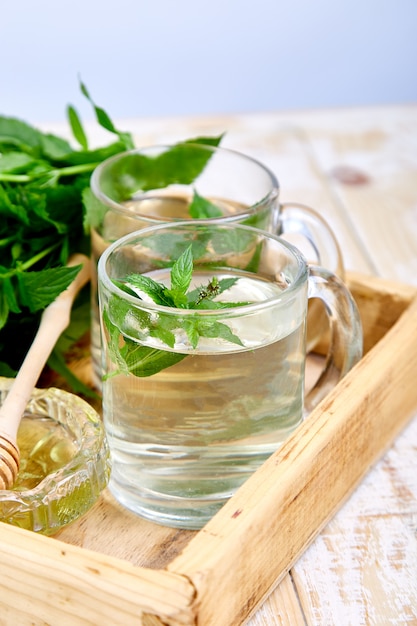 Hot herbal mint tea drink in glass mug