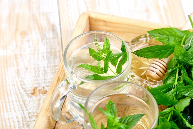 Hot herbal mint tea drink in glass mug