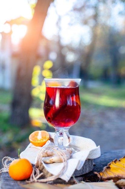 사진 유리에 뜨거운 mulled 와인 가을 공원에서 outdors 피크닉 gluhwein 뜨거운 와인