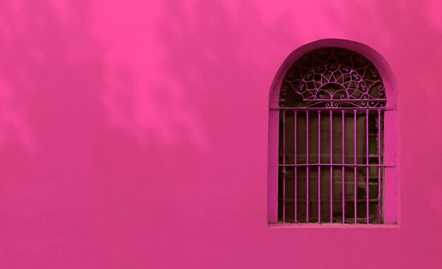 Hot pink wrought iron vintage window on french rose pink colored wall with the foliage shadows