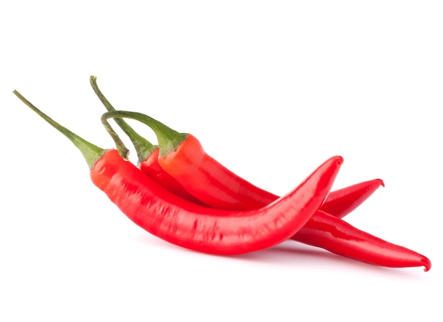 Hot red chili or chilli pepper