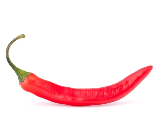 Hot red chili or chilli pepper