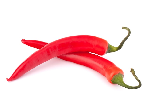 Hot red chili or chilli pepper