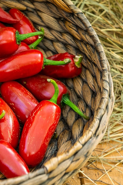 Hot red peppers in a basket