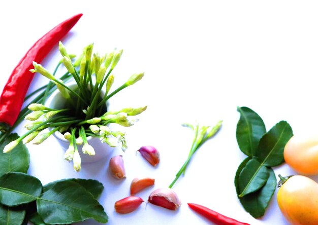 Foto spezie piccanti, peperoncino ingredienti aromatici su sfondo bianco