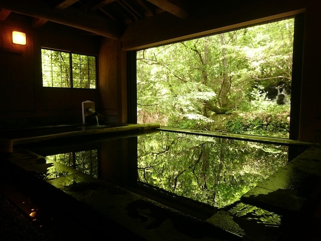 写真 樹木のそばの部屋の温泉