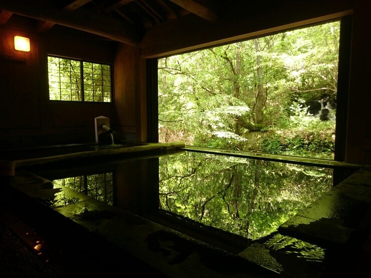 Photo hot spring in room by trees
