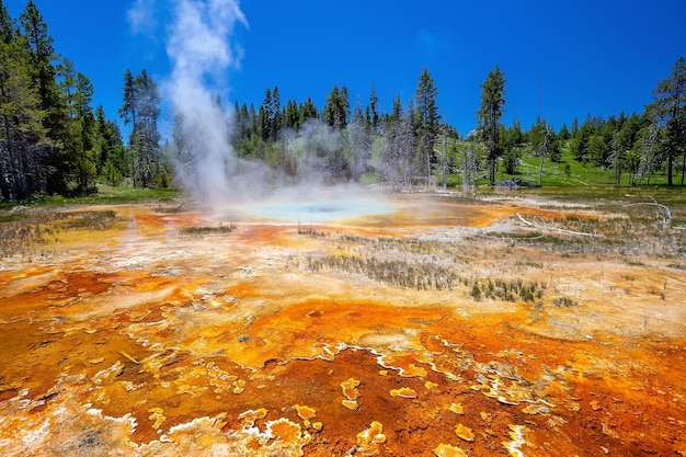 Hot spring in Yellow stone National Park in USA