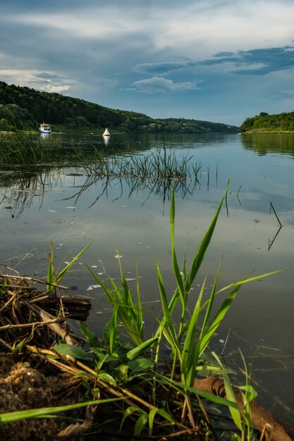 Foto una calda giornata estiva sulle rive del fiume oka.