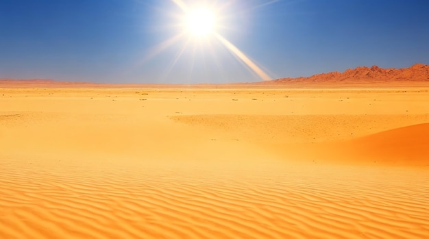 Горячий солнечный день в пустыне