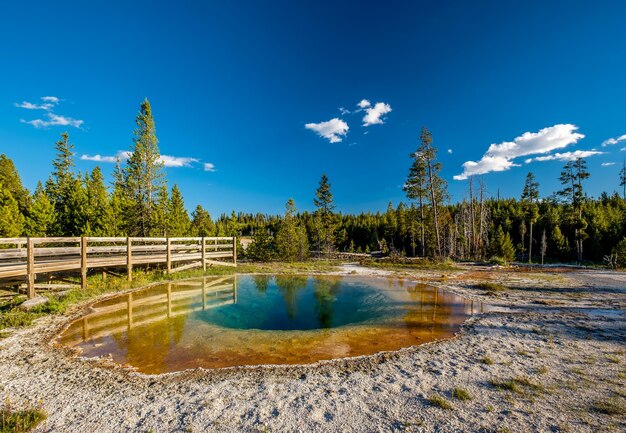 Hot thermal spring in yellowstone