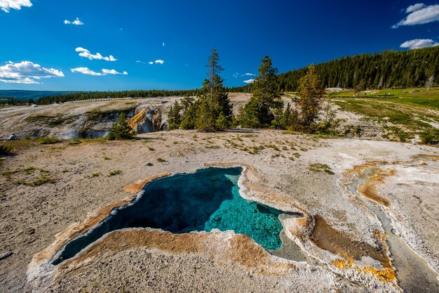 Hot thermal spring in yellowstone