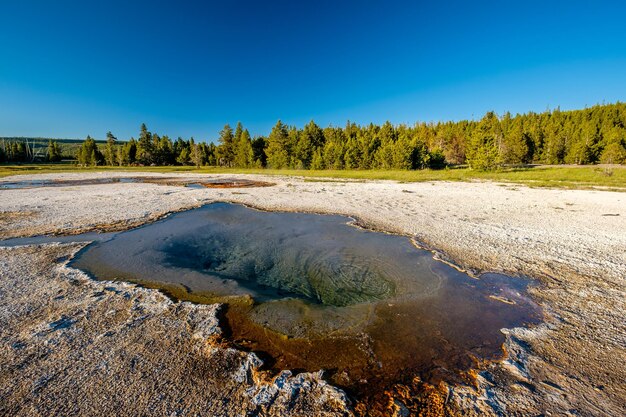 Hot thermal spring in yellowstone