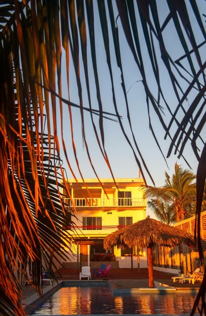 Hotel on the beach surrounded by palm trees with pool and rest area