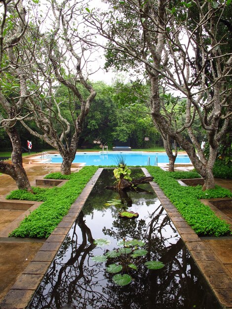 The hotel in Sigiriya, Sri Lanka