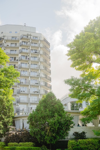 Hotel surrounded by green trees