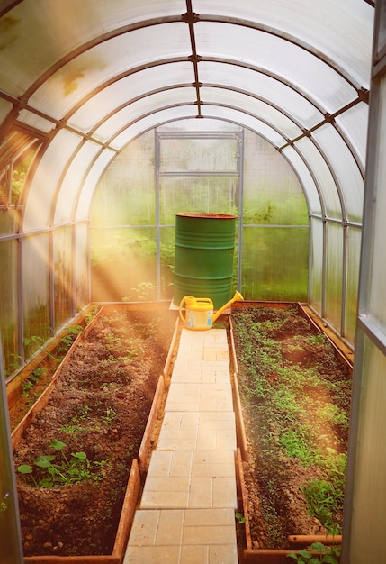 Hothouse greenhouse at countryside garden