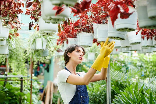 Hothouse worker checking pots