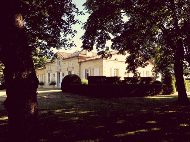 House against sky