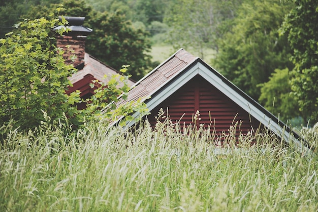 Photo house amidst plants and trees on field