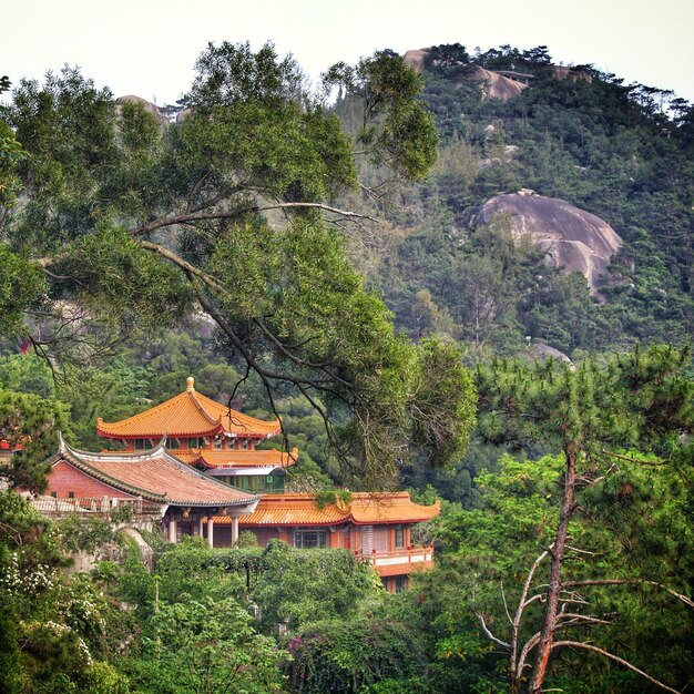 Foto casa in mezzo agli alberi e alle montagne nella foresta