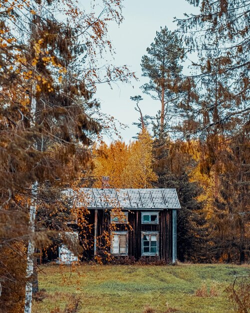 Фото Дом среди деревьев на поле на фоне неба