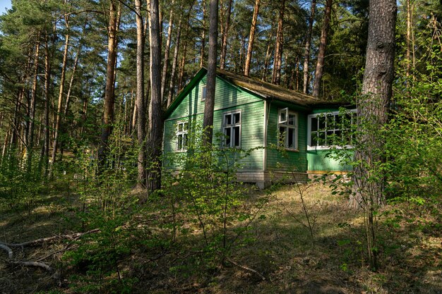 Foto casa in mezzo agli alberi e alle piante nella foresta