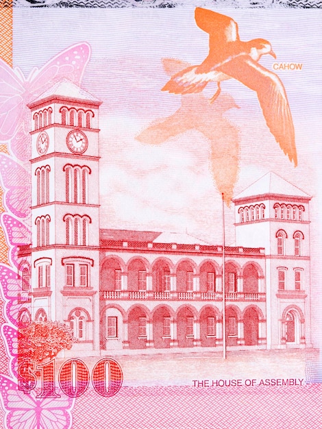 House of Assembly of Bermuda and Bermuda petrel from Bermudian dollar