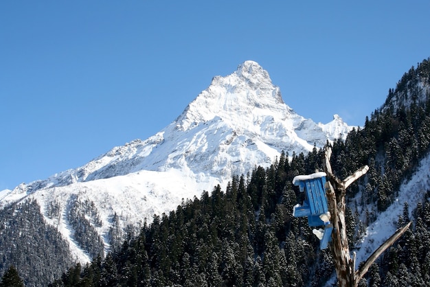 La casa per gli uccelli in montagna