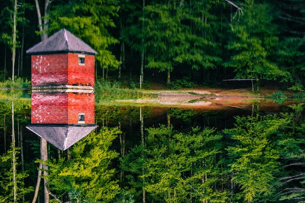 Foto casa vicino al lago nella foresta