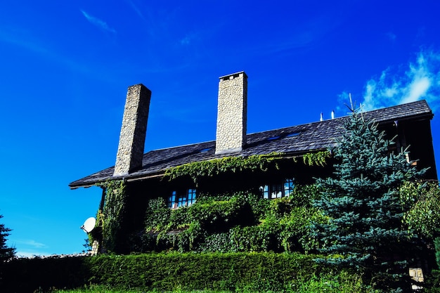 House chimney braided green leaves