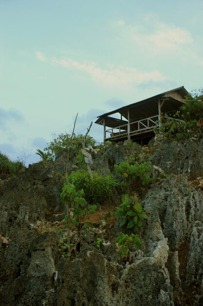 Photo a house on a cliff with a palm tree in the background