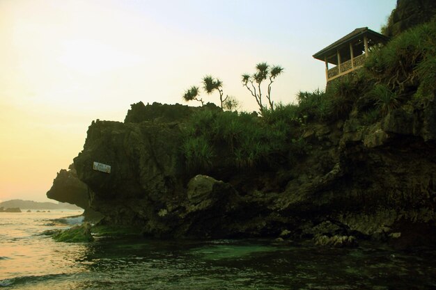 Photo a house on a cliff with a palm tree in the background