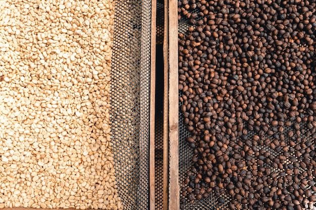 House for drying coffee, natural coffee beans are dried in the greenhouse.Parchment coffee