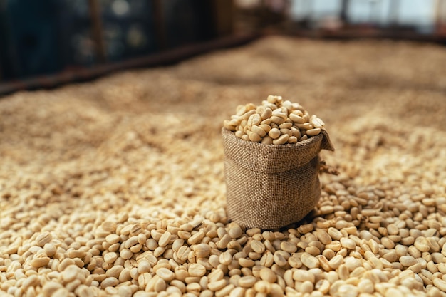 House for drying coffee, natural coffee beans are dried in the greenhouse.Parchment coffee