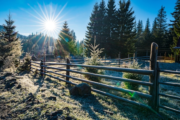 A house on the edge of the forest surrounded by evergreen trees against the backdrop of the bright sun and the unusual Carpathian hills