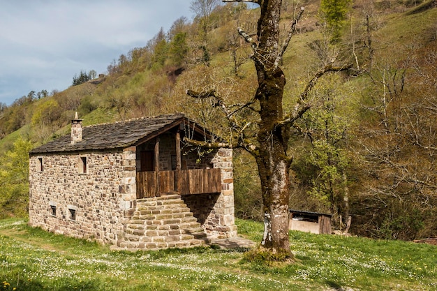 Foto casa sul campo contro il cielo