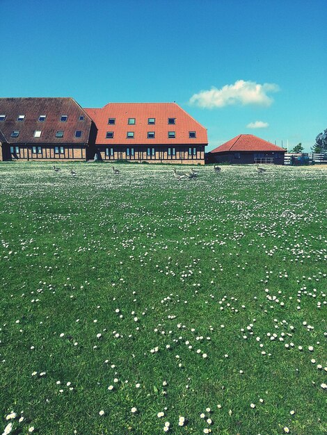 House on field against sky