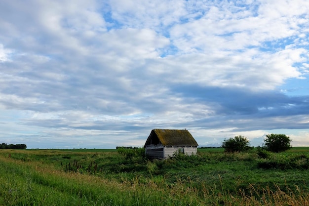 空の向こうのフィールドの家