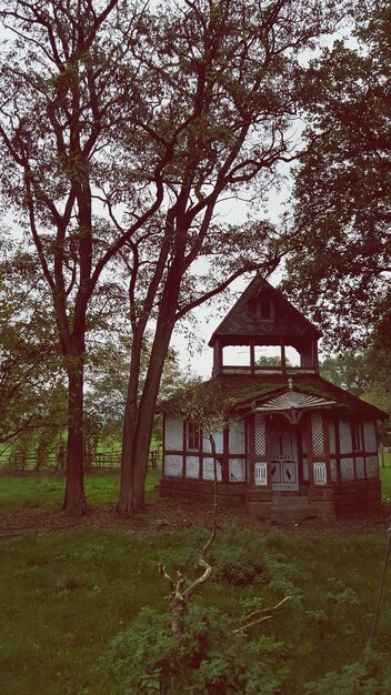 Photo house on field amidst trees