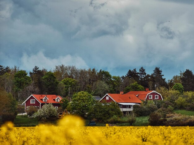 Photo house on field by trees against sky