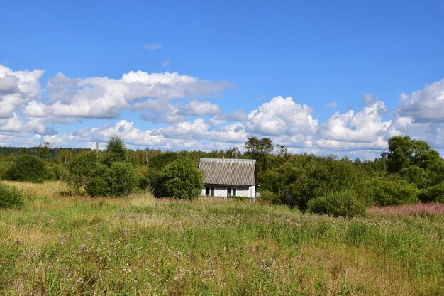 House in the field