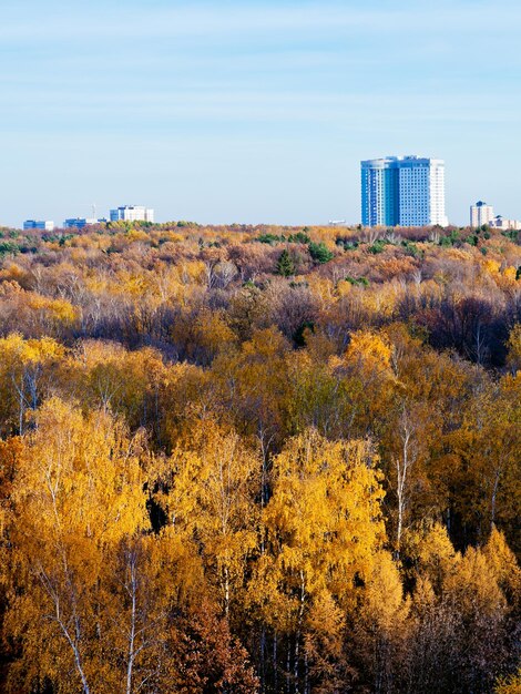 House over forest trees in autumn afternoon