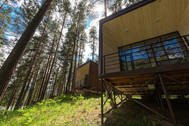 House or hotel with panoramic windows in pine forest beautiful summer morning with light sun nature