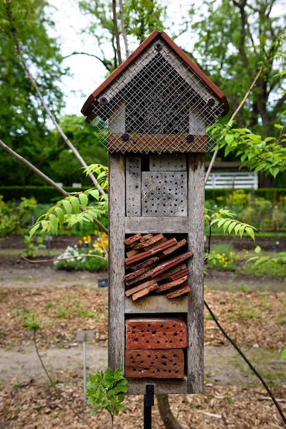 House for insects