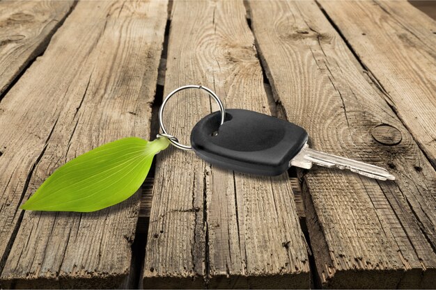 House key with green leaf on wooden background