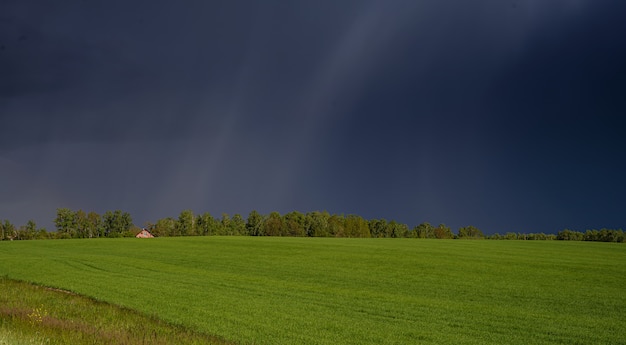 A house in the middle of a green field and a stormy sky