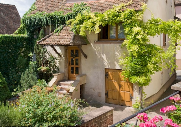 house in mittelbergheim